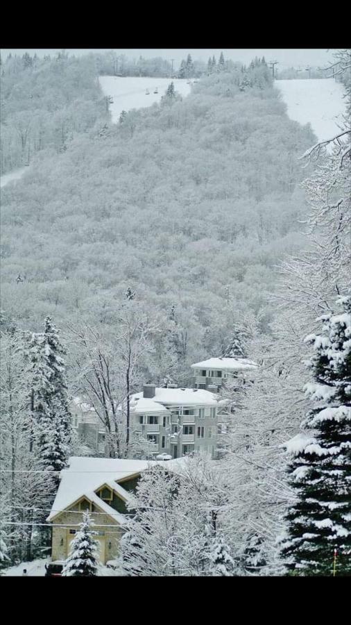 Ski-In, Ski-Out Chaleureux Studio Loft Au Pied Des Pistes De Ski Apartman Stoneham Kültér fotó